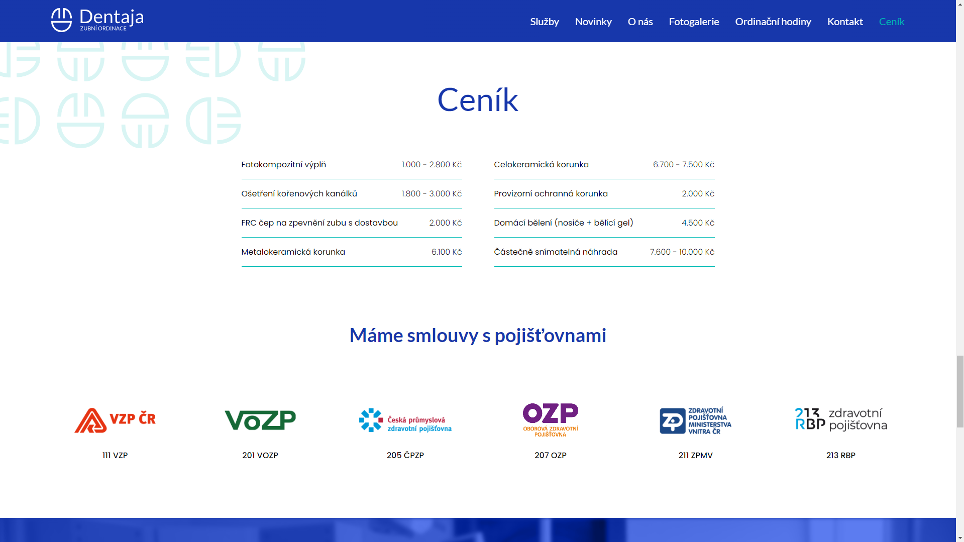 Obrázek projektu Dentaja s.r.o - Sára Hýžová