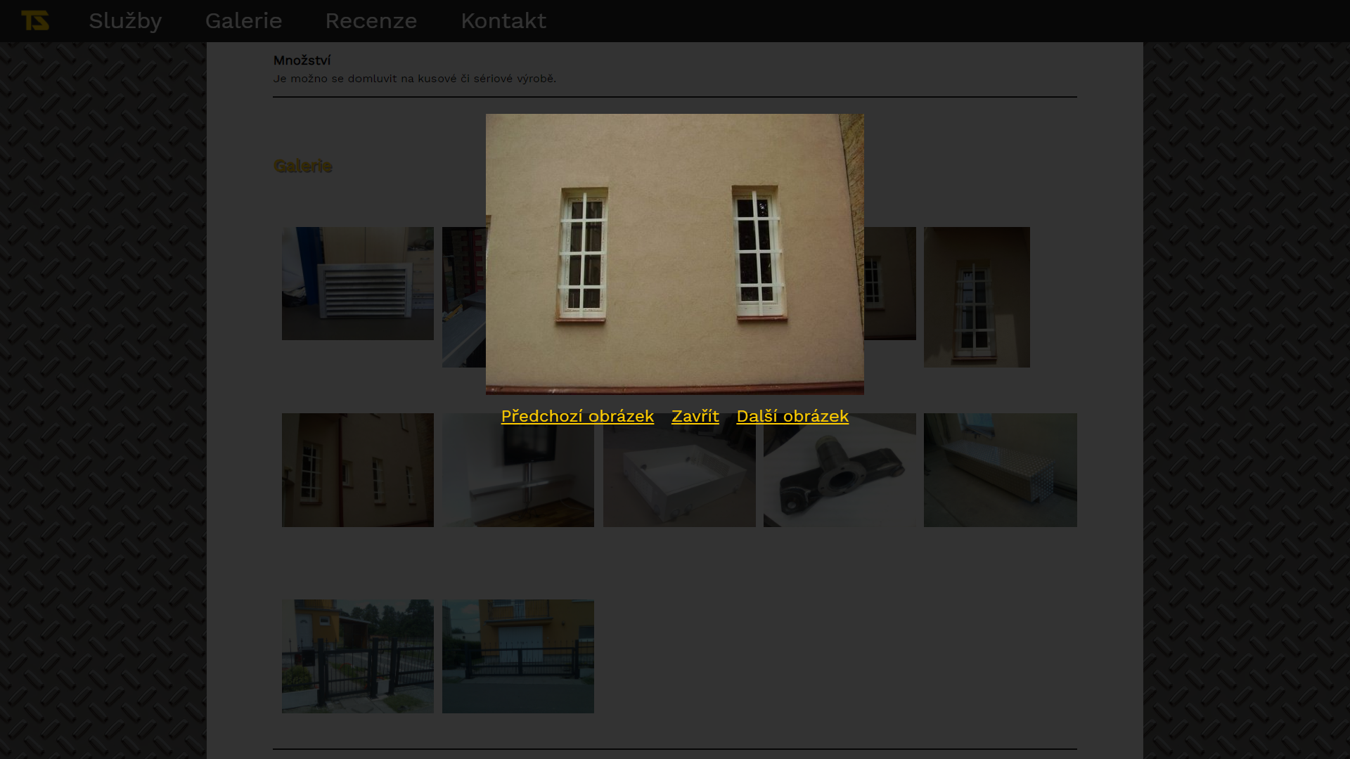 Obrázek projektu Tomáš Skřípek - Sára Hýžová