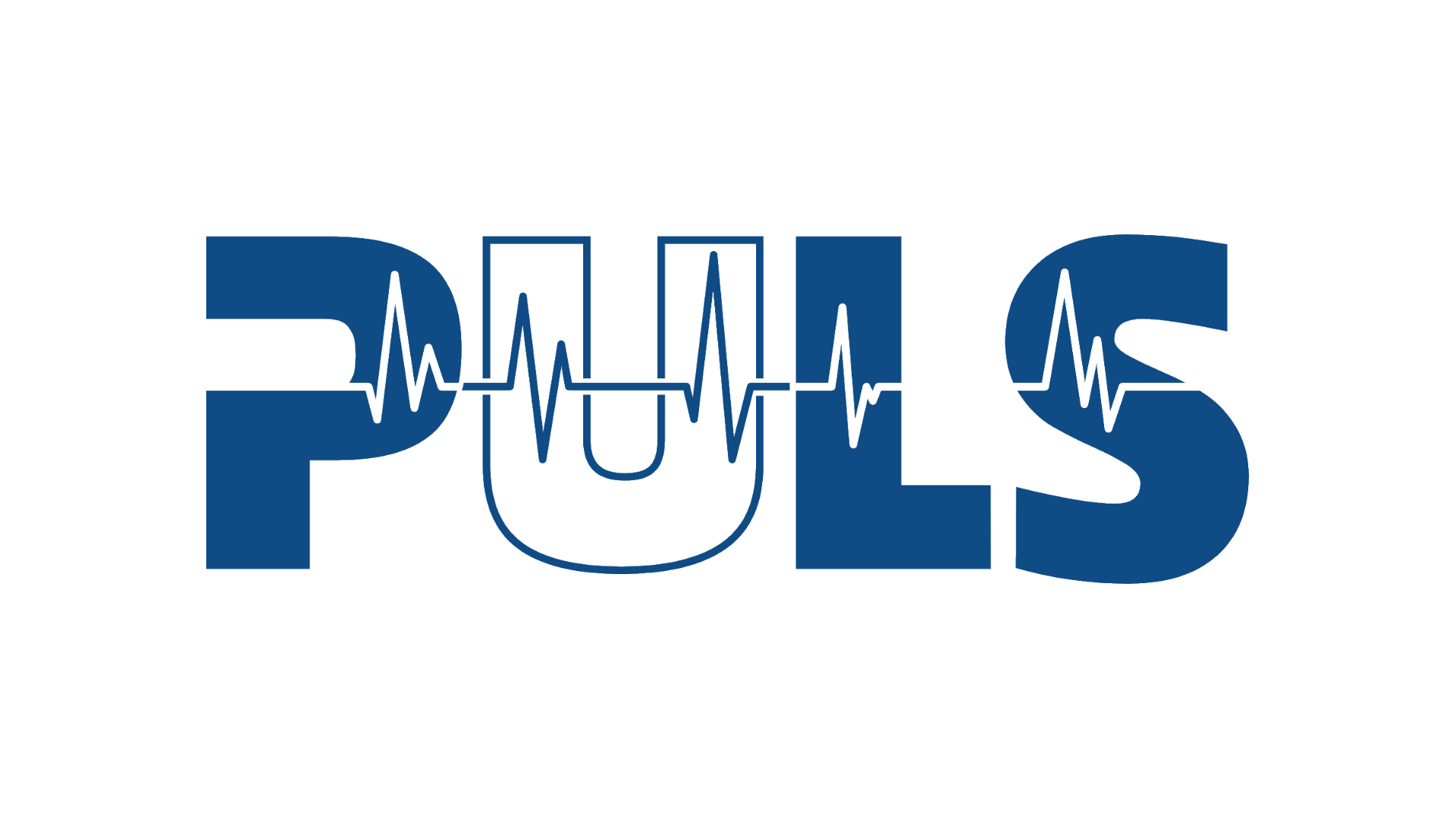 Náhled projektu Kapela Puls - Sára Hýžová